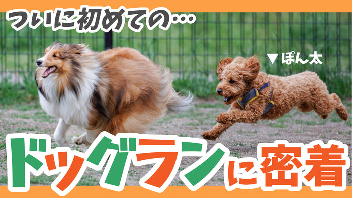 ルーティン 1日密着 密着 サムネイルテンプレート